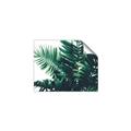 Picture of Fern Garden  _GroupedProduct_Rectangle_Landscape_Photography _GroupedProduct_Rectangle_Landscape_Unframed_Print_Only_