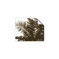 Picture of Fern Garden  _GroupedProduct_Rectangle_Landscape_Photography _GroupedProduct_Rectangle_Landscape_Unframed_Print_Only_