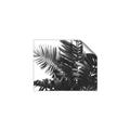 Picture of Fern Garden  _GroupedProduct_Rectangle_Landscape_Photography _GroupedProduct_Rectangle_Landscape_Unframed_Print_Only_