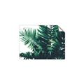 Picture of Fern Garden  _GroupedProduct_Rectangle_Landscape_Photography _GroupedProduct_Rectangle_Landscape_Unframed_Print_Only_