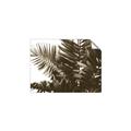 Picture of Fern Garden  _GroupedProduct_Rectangle_Landscape_Photography _GroupedProduct_Rectangle_Landscape_Unframed_Print_Only_