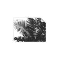 Picture of Fern Garden  _GroupedProduct_Rectangle_Landscape_Photography _GroupedProduct_Rectangle_Landscape_Unframed_Print_Only_