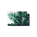 Picture of Fern Garden  _GroupedProduct_Rectangle_Landscape_Photography _GroupedProduct_Rectangle_Landscape_Unframed_Print_Only_