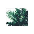 Picture of Fern Garden  _GroupedProduct_Rectangle_Landscape_Photography _GroupedProduct_Rectangle_Landscape_Unframed_Print_Only_