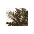 Picture of Fern Garden  _GroupedProduct_Rectangle_Landscape_Photography _GroupedProduct_Rectangle_Landscape_Unframed_Print_Only_