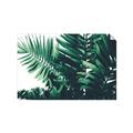 Picture of Fern Garden  _GroupedProduct_Rectangle_Landscape_Photography _GroupedProduct_Rectangle_Landscape_Unframed_Print_Only_