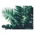 Picture of Fern Garden  _GroupedProduct_Rectangle_Landscape_Photography _GroupedProduct_Rectangle_Landscape_Unframed_Print_Only_