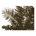 Picture of Fern Garden  _GroupedProduct_Rectangle_Landscape_Photography _GroupedProduct_Rectangle_Landscape_Unframed_Print_Only_