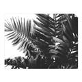 Picture of Fern Garden  _GroupedProduct_Rectangle_Landscape_Photography _GroupedProduct_Rectangle_Landscape_Unframed_Print_Only_