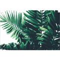 Picture of Fern Garden  _GroupedProduct_Rectangle_Landscape_Photography _GroupedProduct_Rectangle_Landscape_Unframed_Print_Only_