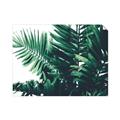 Picture of Fern Garden  _GroupedProduct_Rectangle_Landscape_Photography _GroupedProduct_Rectangle_Landscape_Unframed_Print_Only_
