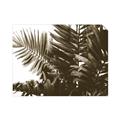 Picture of Fern Garden  _GroupedProduct_Rectangle_Landscape_Photography _GroupedProduct_Rectangle_Landscape_Unframed_Print_Only_
