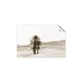 Picture of Sandy Desert  _GroupedProduct_Rectangle_Landscape_Photography _GroupedProduct_Rectangle_Landscape_Unframed_Print_Only_