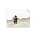 Picture of Sandy Desert  _GroupedProduct_Rectangle_Landscape_Photography _GroupedProduct_Rectangle_Landscape_Unframed_Print_Only_