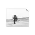 Picture of Sandy Desert  _GroupedProduct_Rectangle_Landscape_Photography _GroupedProduct_Rectangle_Landscape_Unframed_Print_Only_