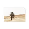 Picture of Sandy Desert  _GroupedProduct_Rectangle_Landscape_Photography _GroupedProduct_Rectangle_Landscape_Unframed_Print_Only_