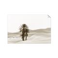 Picture of Sandy Desert  _GroupedProduct_Rectangle_Landscape_Photography _GroupedProduct_Rectangle_Landscape_Unframed_Print_Only_