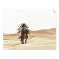Picture of Sandy Desert  _GroupedProduct_Rectangle_Landscape_Photography _GroupedProduct_Rectangle_Landscape_Unframed_Print_Only_