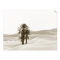 Picture of Sandy Desert  _GroupedProduct_Rectangle_Landscape_Photography _GroupedProduct_Rectangle_Landscape_Unframed_Print_Only_