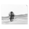 Picture of Sandy Desert  _GroupedProduct_Rectangle_Landscape_Photography _GroupedProduct_Rectangle_Landscape_Unframed_Print_Only_