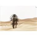 Picture of Sandy Desert  _GroupedProduct_Rectangle_Landscape_Photography _GroupedProduct_Rectangle_Landscape_Unframed_Print_Only_