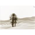 Picture of Sandy Desert  _GroupedProduct_Rectangle_Landscape_Photography _GroupedProduct_Rectangle_Landscape_Unframed_Print_Only_