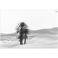 Picture of Sandy Desert  _GroupedProduct_Rectangle_Landscape_Photography _GroupedProduct_Rectangle_Landscape_Unframed_Print_Only_