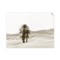 Picture of Sandy Desert  _GroupedProduct_Rectangle_Landscape_Photography _GroupedProduct_Rectangle_Landscape_Unframed_Print_Only_