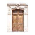 Picture of Roman Door I  _GroupedProduct_Rectangle_Portrait_Photography _GroupedProduct_Rectangle_Portrait_Unframed_Print_Only_