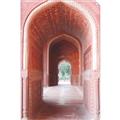 Picture of Pink Architecture _GroupedProduct_Rectangle_Portrait_Photography _GroupedProduct_Rectangle_Portrait_Unframed_Print_Only_
