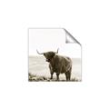Picture of Scottish Fields Highland B&W _GroupedProduct_Square_Photography _GroupedProduct_Square_Unframed_Print_Only_