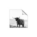 Picture of Scottish Fields Highland B&W _GroupedProduct_Square_Photography _GroupedProduct_Square_Unframed_Print_Only_
