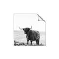 Picture of Scottish Fields Highland B&W _GroupedProduct_Square_Photography _GroupedProduct_Square_Unframed_Print_Only_