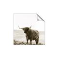 Picture of Scottish Fields Highland B&W _GroupedProduct_Square_Photography _GroupedProduct_Square_Unframed_Print_Only_