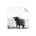 Picture of Scottish Fields Highland B&W _GroupedProduct_Square_Photography _GroupedProduct_Square_Unframed_Print_Only_