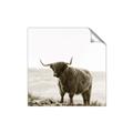 Picture of Scottish Fields Highland B&W _GroupedProduct_Square_Photography _GroupedProduct_Square_Unframed_Print_Only_