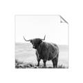 Picture of Scottish Fields Highland B&W _GroupedProduct_Square_Photography _GroupedProduct_Square_Unframed_Print_Only_