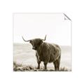 Picture of Scottish Fields Highland B&W _GroupedProduct_Square_Photography _GroupedProduct_Square_Unframed_Print_Only_