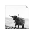 Picture of Scottish Fields Highland B&W _GroupedProduct_Square_Photography _GroupedProduct_Square_Unframed_Print_Only_