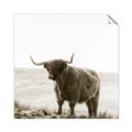 Picture of Scottish Fields Highland B&W _GroupedProduct_Square_Photography _GroupedProduct_Square_Unframed_Print_Only_