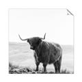 Picture of Scottish Fields Highland B&W _GroupedProduct_Square_Photography _GroupedProduct_Square_Unframed_Print_Only_