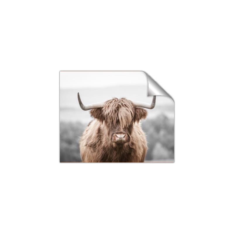 Picture of Hairy Brown _GroupedProduct_Rectangle_Landscape_Photography _GroupedProduct_Rectangle_Landscape_Unframed_Print_Only_