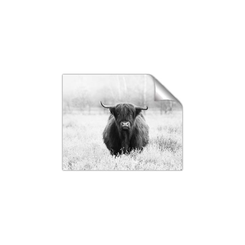 Picture of Hiding in the Grass _GroupedProduct_Rectangle_Landscape_Photography _GroupedProduct_Rectangle_Landscape_Unframed_Print_Only_