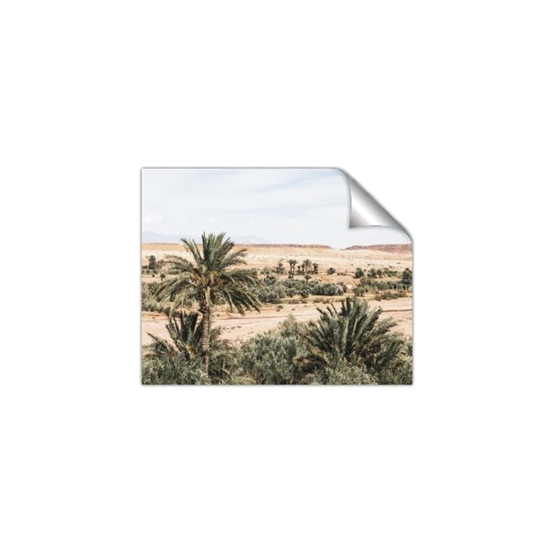 Picture of Desert Greens _GroupedProduct_Rectangle_Landscape_Photography _GroupedProduct_Rectangle_Landscape_Unframed_Print_Only_