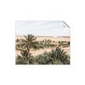 Picture of Desert Greens _GroupedProduct_Rectangle_Landscape_Photography _GroupedProduct_Rectangle_Landscape_Unframed_Print_Only_