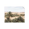 Picture of Desert Greens _GroupedProduct_Rectangle_Landscape_Photography _GroupedProduct_Rectangle_Landscape_Unframed_Print_Only_