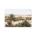 Picture of Desert Greens _GroupedProduct_Rectangle_Landscape_Photography _GroupedProduct_Rectangle_Landscape_Unframed_Print_Only_