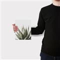 Picture of Cactus Succulent _GroupedProduct_Rectangle_Portrait_Photography _GroupedProduct_Rectangle_Portrait_Canvas_
