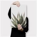 Picture of Cactus Succulent _GroupedProduct_Rectangle_Portrait_Photography _GroupedProduct_Rectangle_Portrait_Canvas_