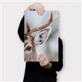 Picture of Eye of the Deer _GroupedProduct_Rectangle_Portrait_Photography _GroupedProduct_Rectangle_Portrait_Canvas_